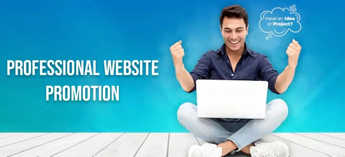 Professional Website Promotion in Gir Somnath Professional Website Promotion in Gir Somnath